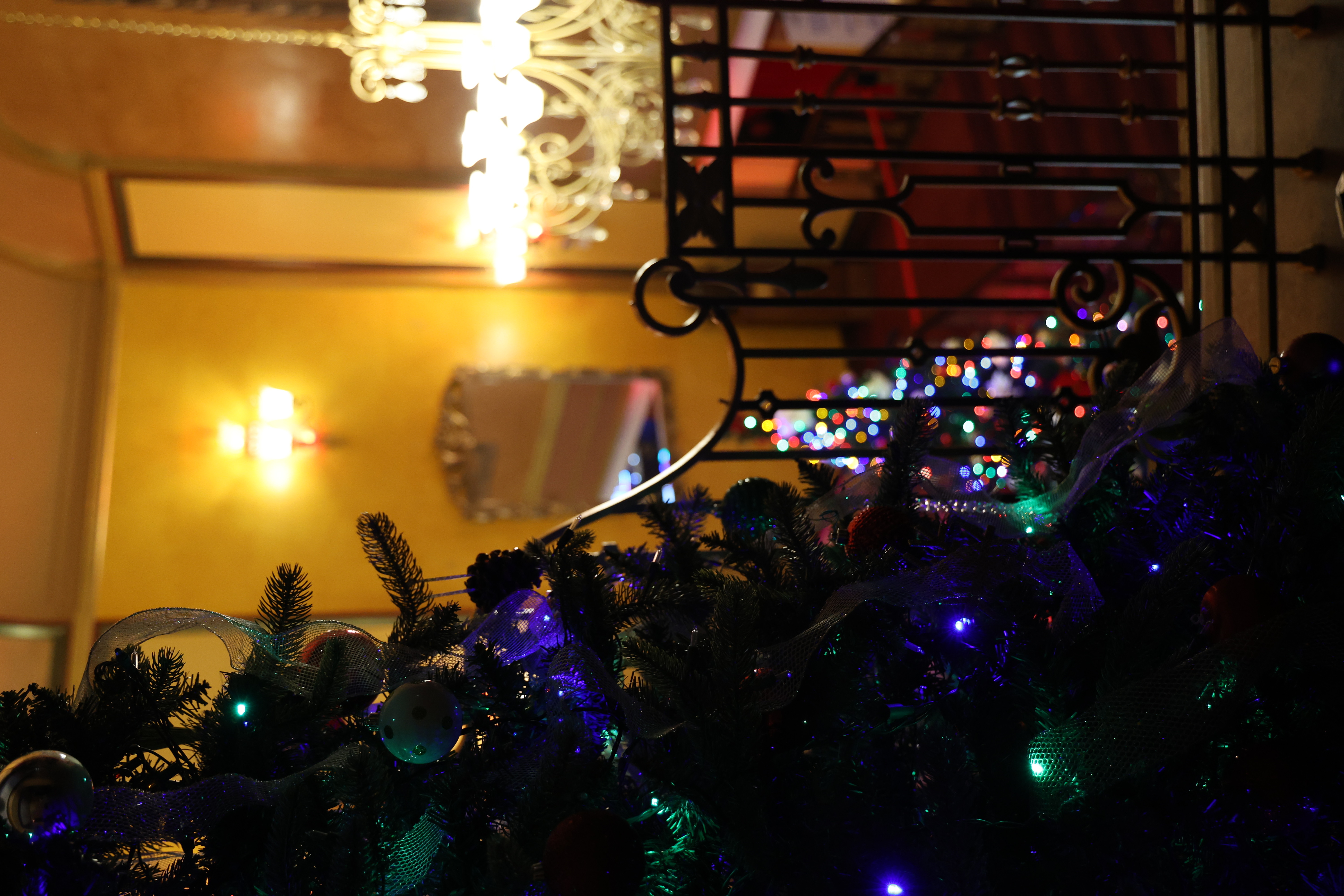 Close-up photograph of a Christmas tree.